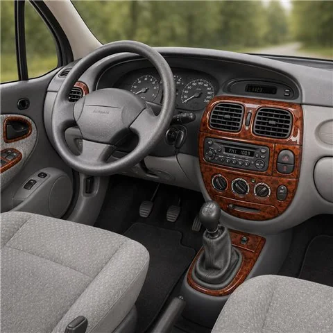 Renault Megane Scenic 1999-2003 3D Armaturenbrett-Dekor-Set, 19 Teile